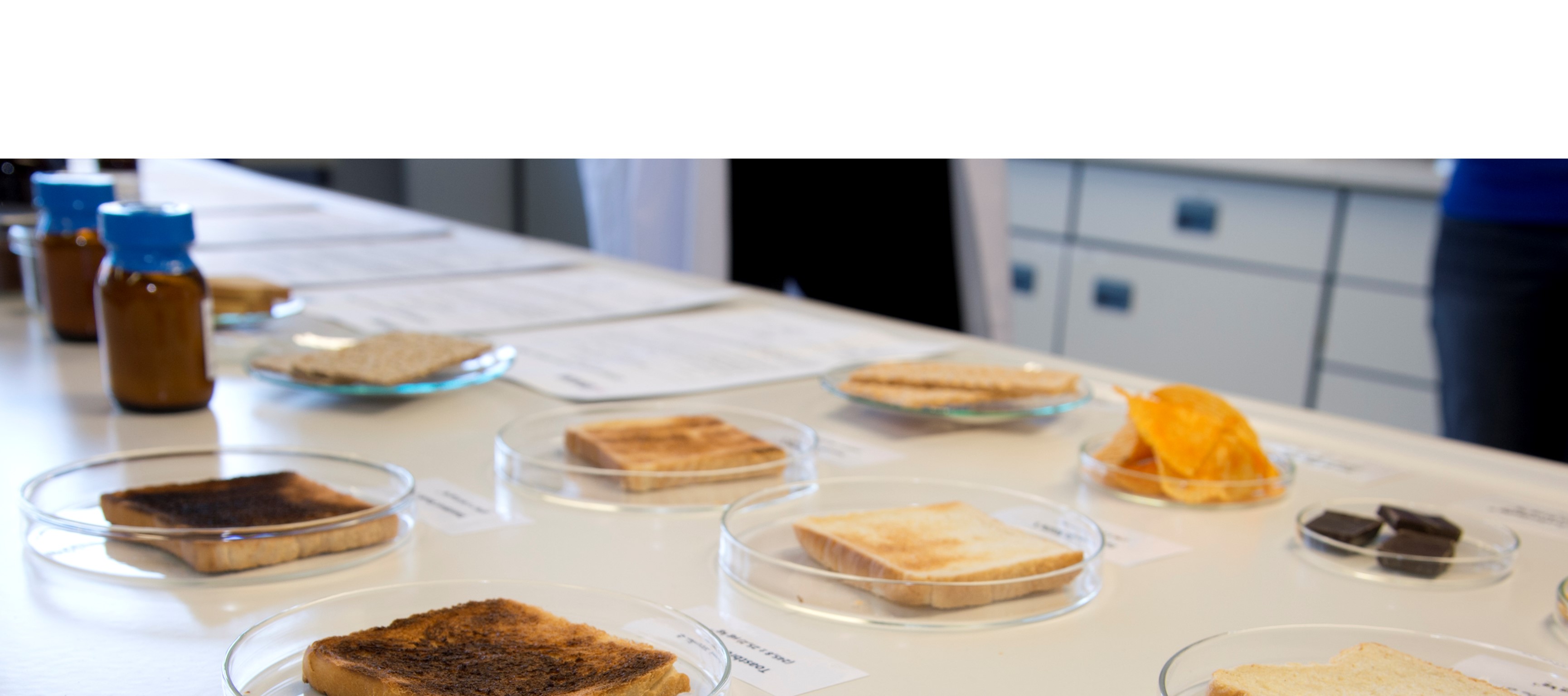 eCerto Alternative 1